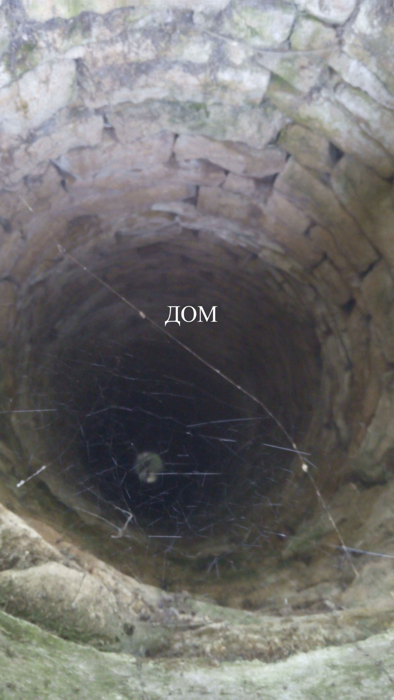 Продава ПАРЦЕЛ, гр. Плиска, област Шумен, снимка 3 - Парцели - 54216958