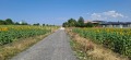 Продава ПАРЦЕЛ, с. Храбърско, област София област, снимка 1