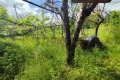 Продава  Къща област Шумен , с. Кюлевча , 49 кв.м | 32715896 - изображение [9]