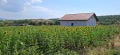 Продава  Парцел област София , с. Храбърско , 700 кв.м | 57419245 - изображение [3]