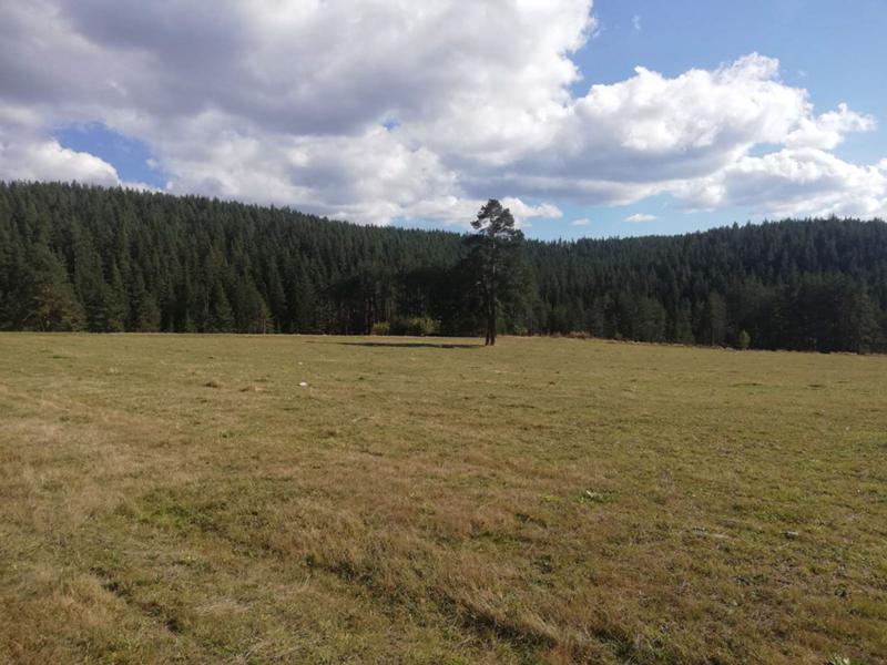 ������� ������ | Imot.bg � ����������� 5