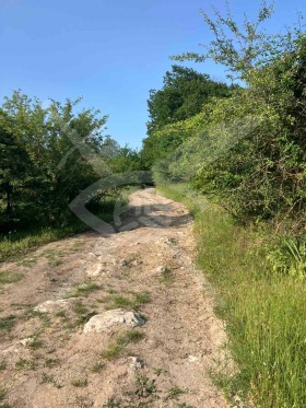 Handlung Waglen, region Varna