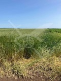Продава ПАРЦЕЛ, с. Въглен, област Варна, снимка 2