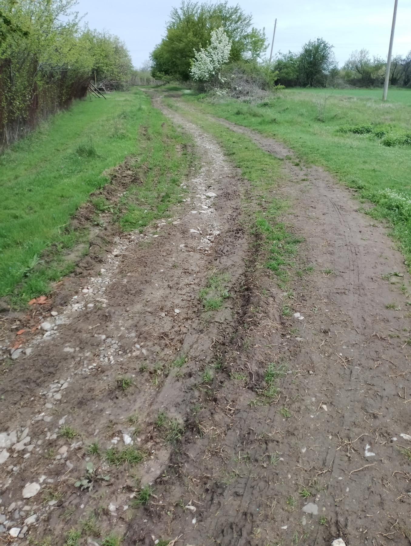 ������� ���������� ���� | Imot.bg � ����������� 14