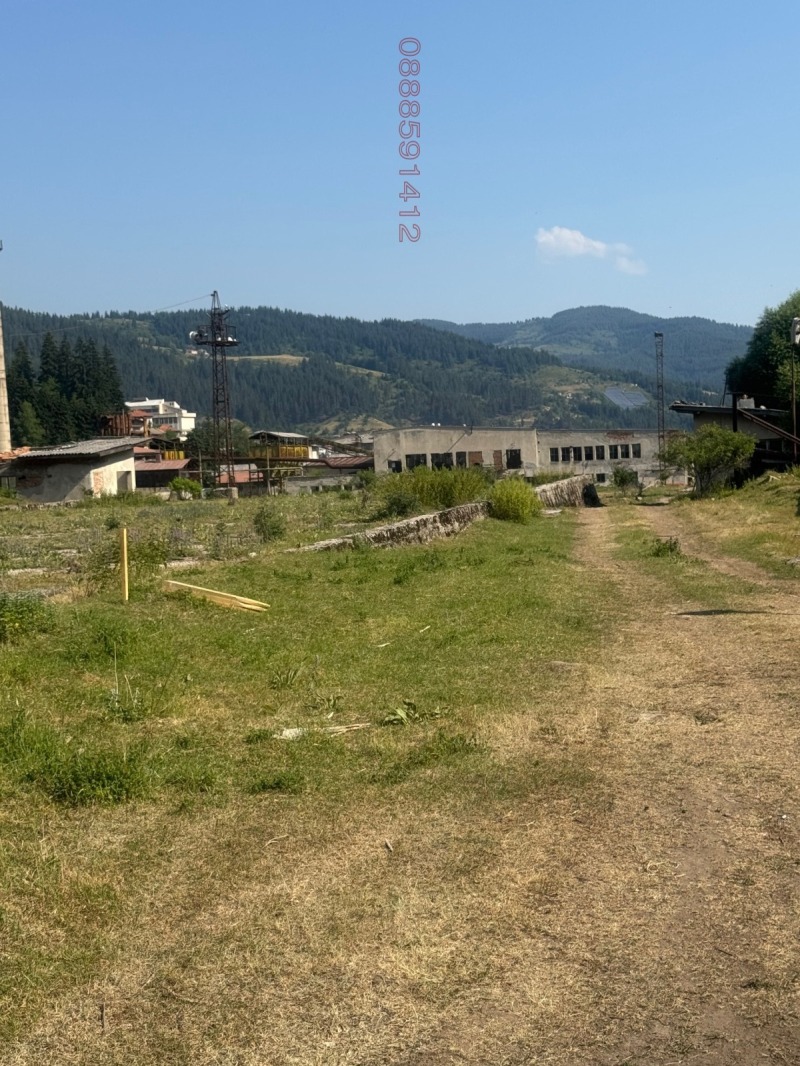 Продава БИЗНЕС ИМОТ, гр. Чепеларе, област Смолян, снимка 12 - Други - 52621557