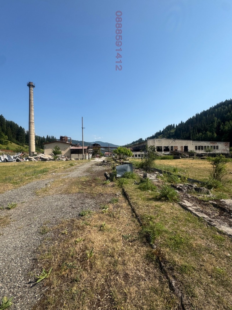 Продава БИЗНЕС ИМОТ, гр. Чепеларе, област Смолян, снимка 15 - Други - 52621557