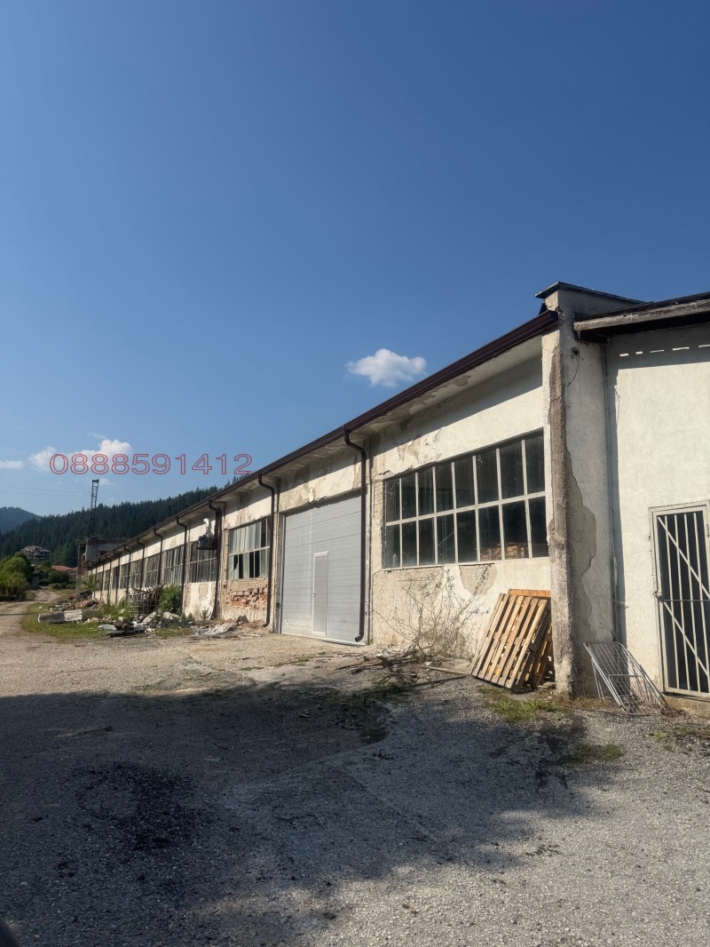 Продава БИЗНЕС ИМОТ, гр. Чепеларе, област Смолян, снимка 11 - Други - 52621557