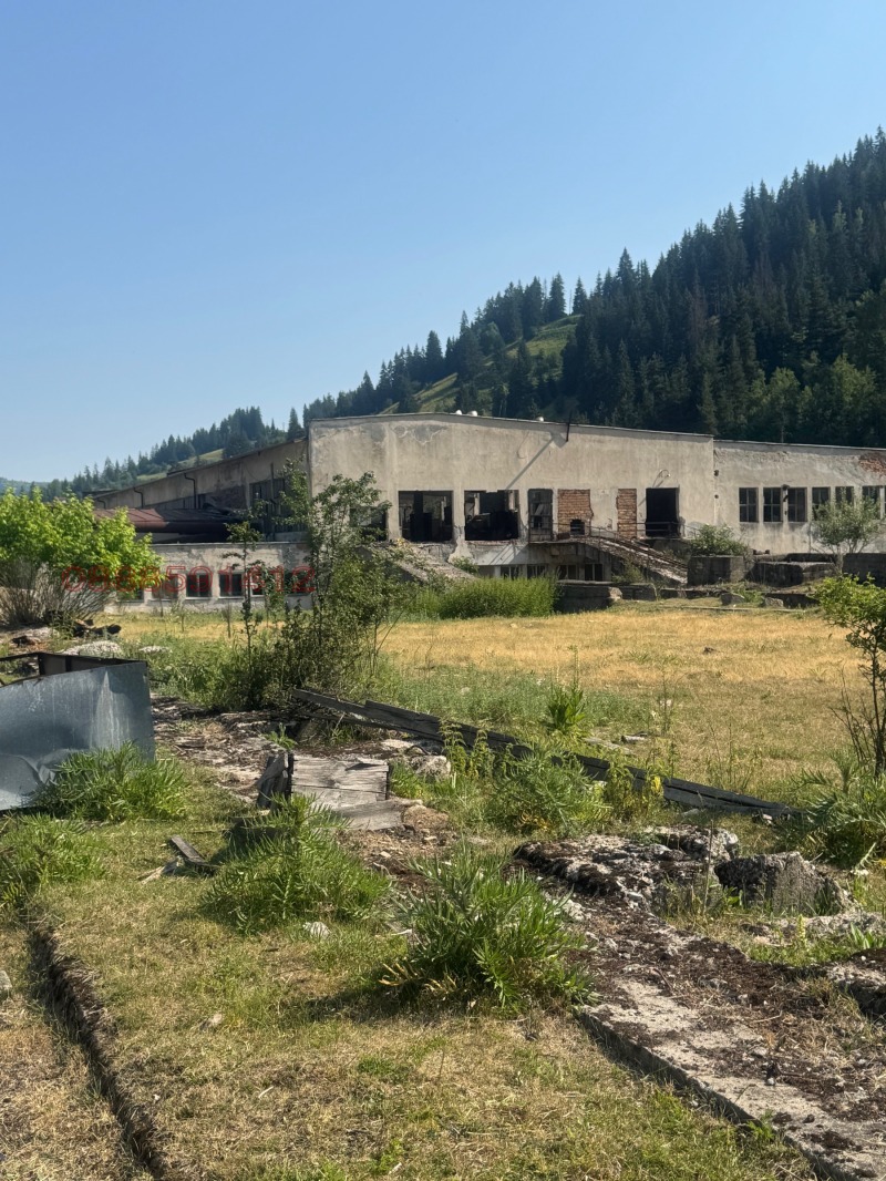 Продава БИЗНЕС ИМОТ, гр. Чепеларе, област Смолян, снимка 16 - Други - 52621557