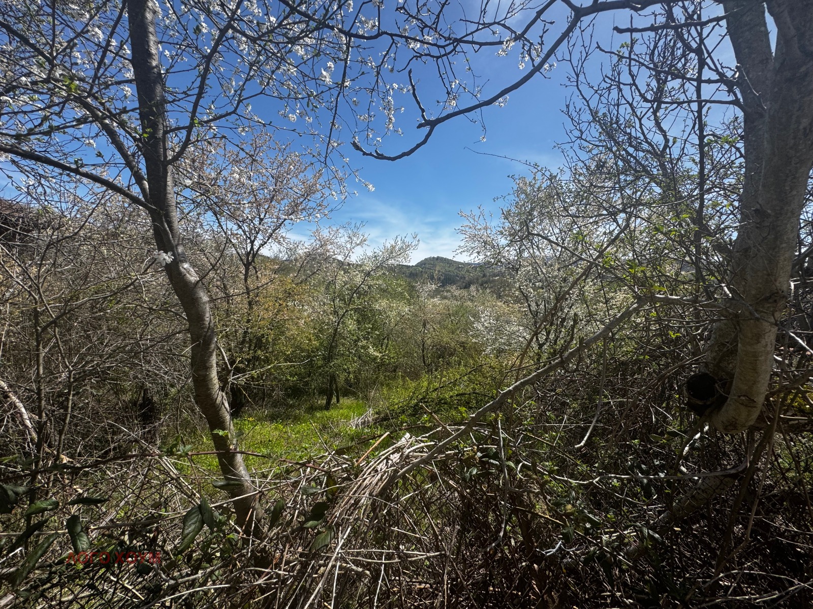 Продава КЪЩА, гр. Елена, област Велико Търново, снимка 2 - Къщи - 54244297