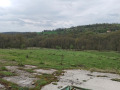 Продава ЗЕМЕДЕЛСКА ЗЕМЯ, с. Солник, област Варна, снимка 3