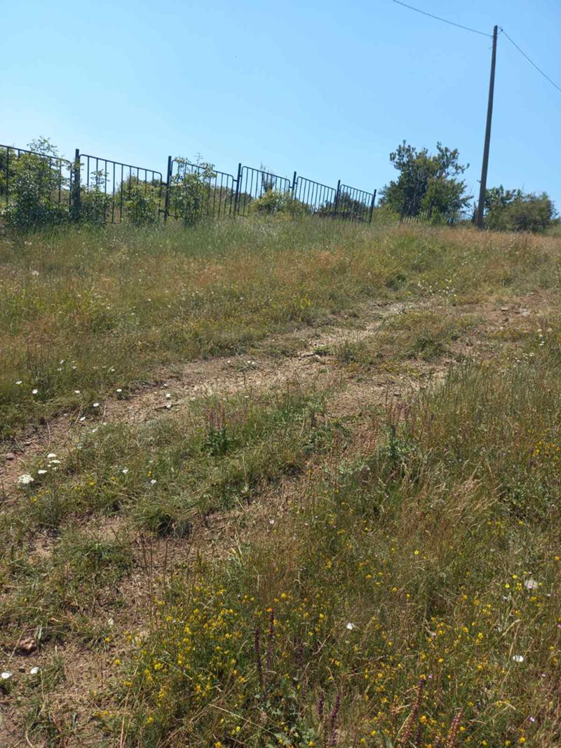 ������� ������ | Imot.bg � ����������� 5