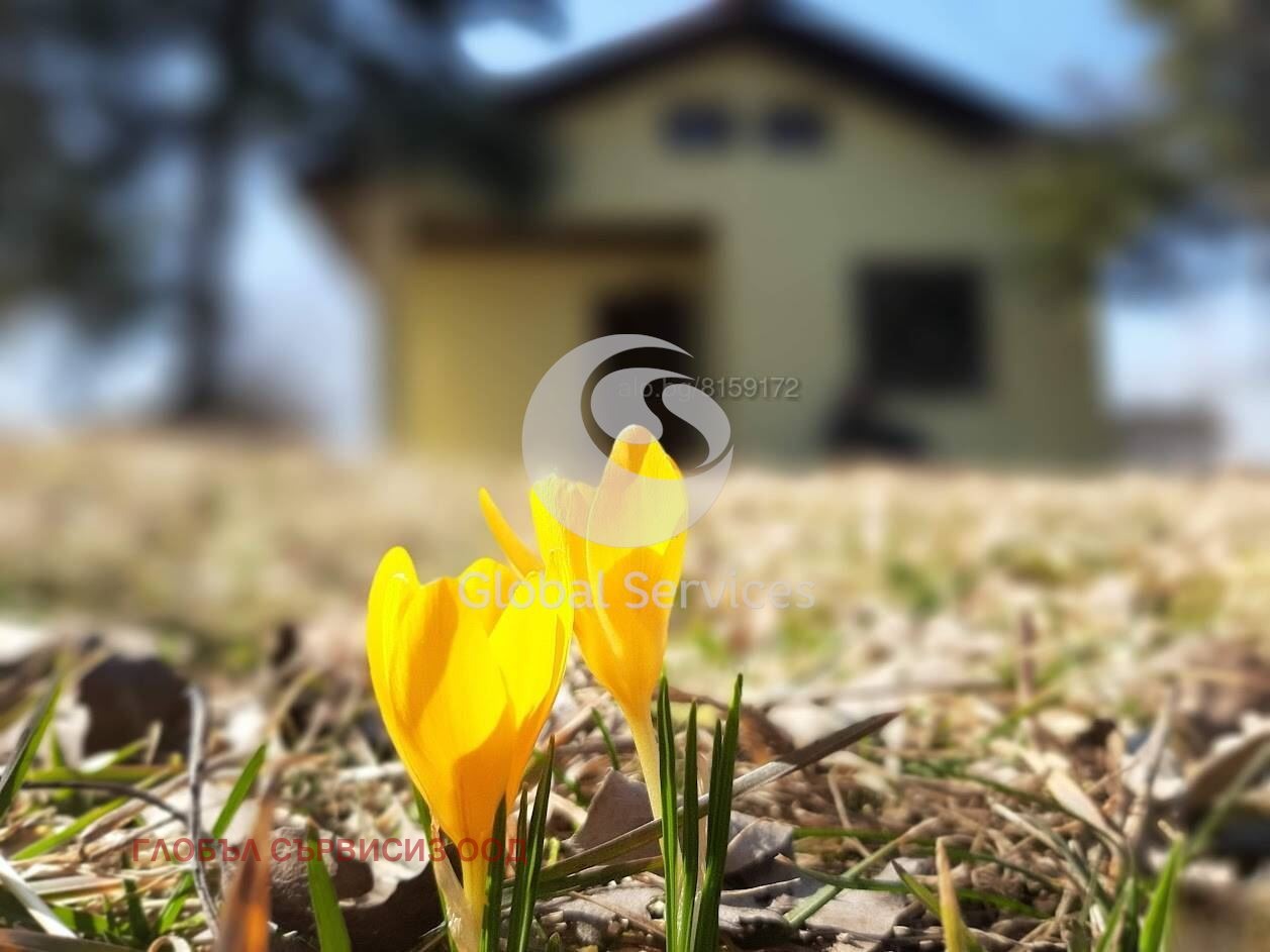 ������� ���� | Imot.bg � ����������� 1