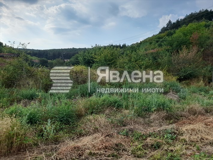 Продава ПАРЦЕЛ, с. Дебръщица, област Пазарджик, снимка 4 - Парцели - 47794354