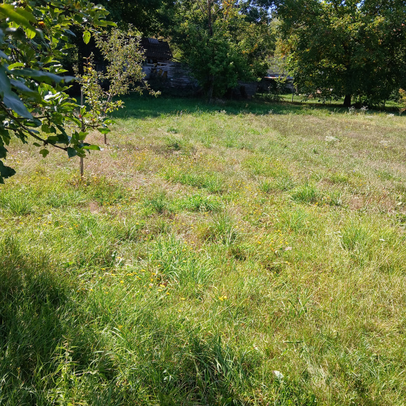 Na prodej  Spiknutí oblast Kyustendil , Gjueševo , 1160 m2 | 55149955