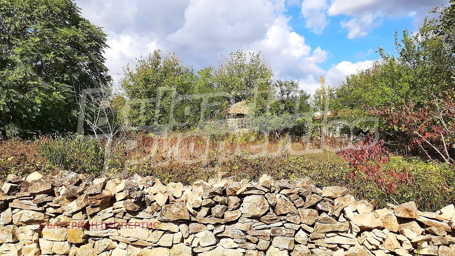 ������� ���� | Imot.bg � ����������� 1