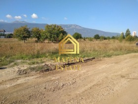 In vendita Complotto