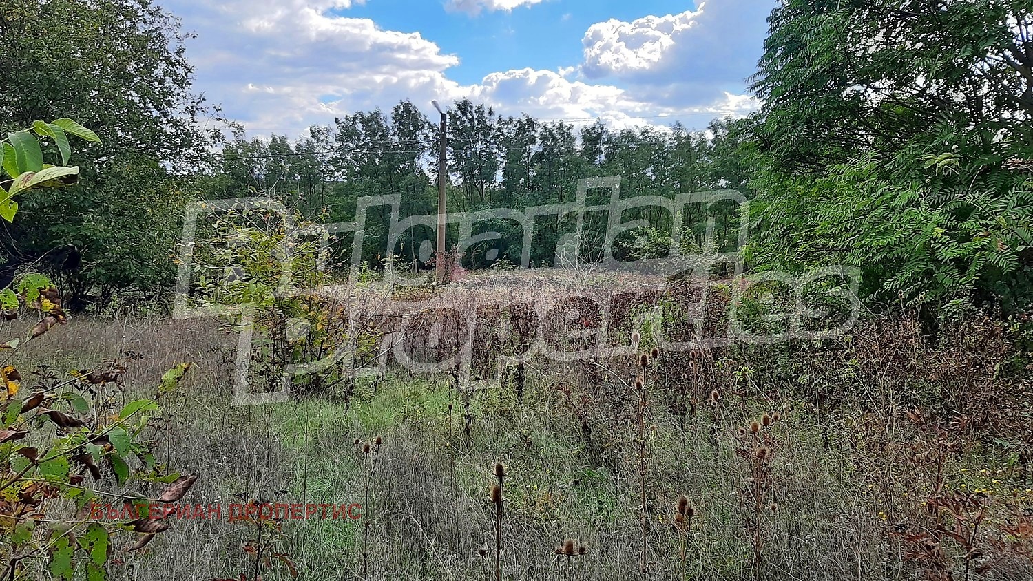 Продава КЪЩА, с. Долна Липница, област Велико Търново, снимка 8 - Къщи - 55404737