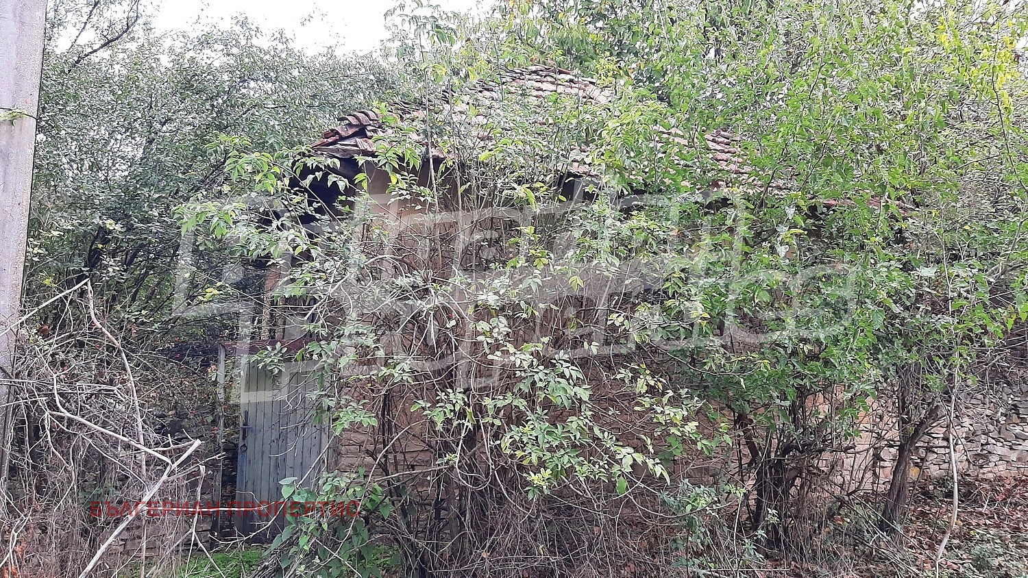 Продава КЪЩА, с. Долна Липница, област Велико Търново, снимка 7 - Къщи - 55404737