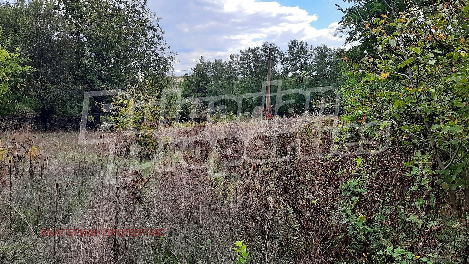 Продава КЪЩА, с. Долна Липница, област Велико Търново, снимка 5 - Къщи - 55404737