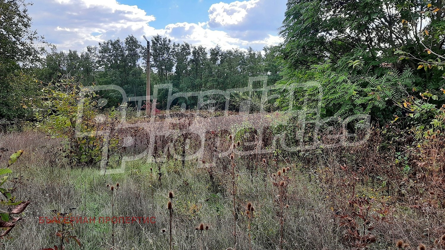 Продава КЪЩА, с. Долна Липница, област Велико Търново, снимка 12 - Къщи - 55404737