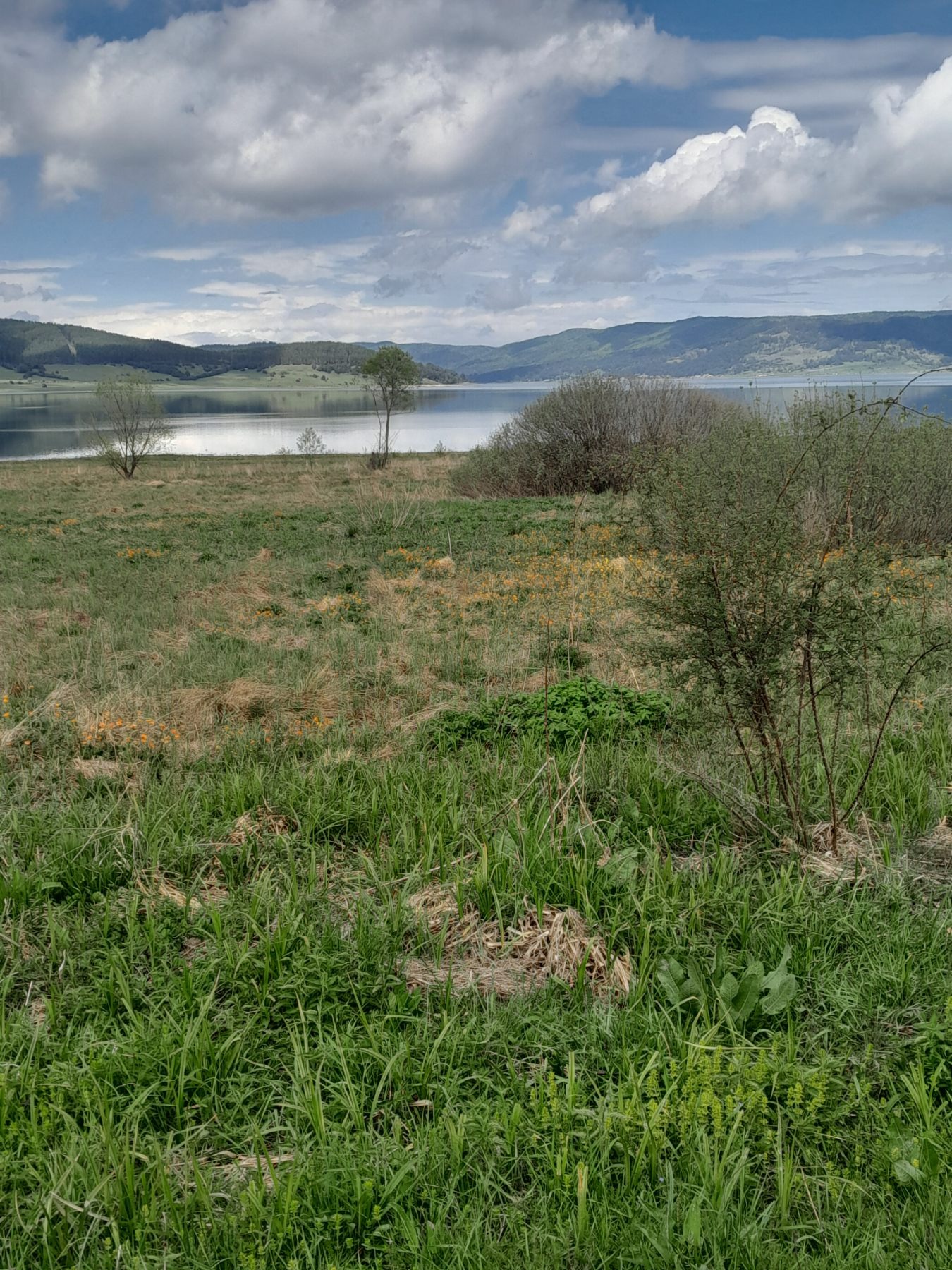 ������� ������ | Imot.bg � ����������� 4