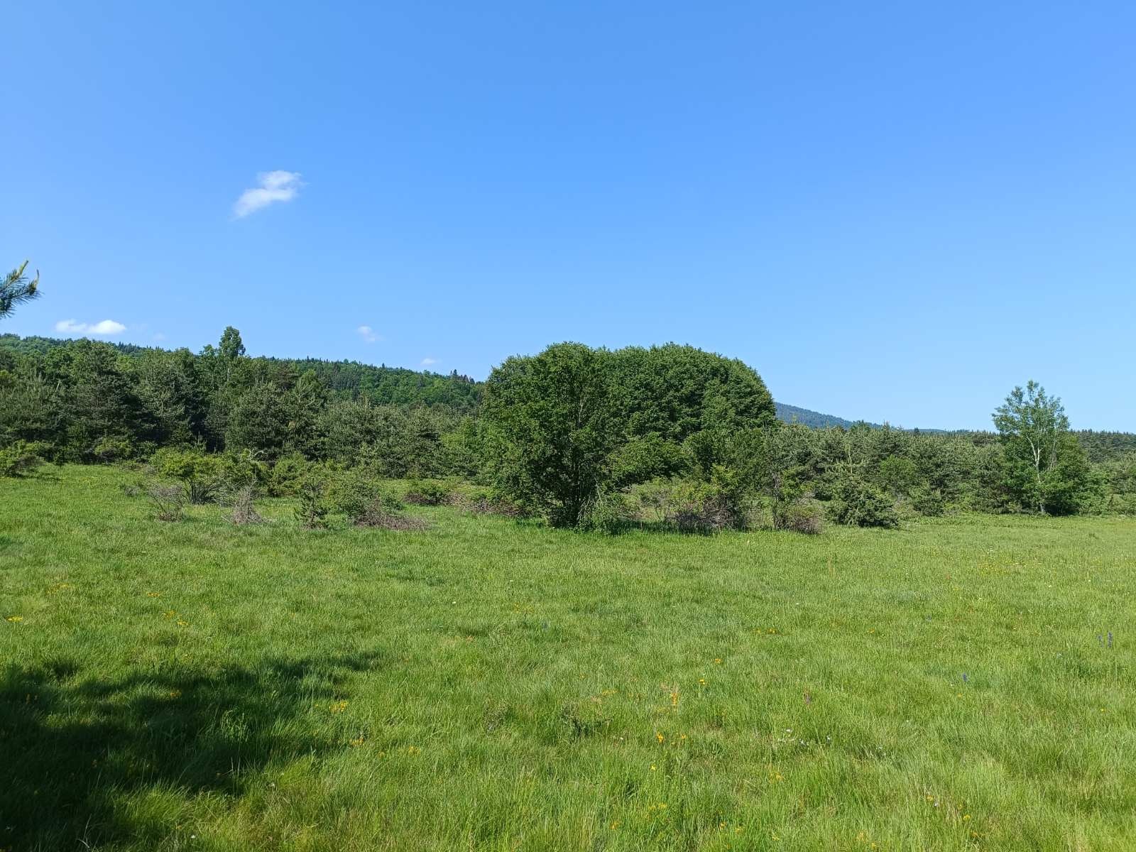 ������� ������ | Imot.bg � ����������� 5