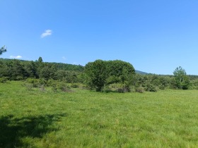 ������� ������ | Imot.bg � ����� ������ 5