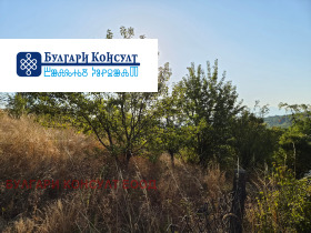 ������� ������ | Imot.bg � ����� ������ 7