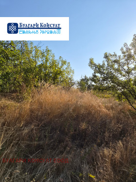 ������� ������ | Imot.bg � ����� ������ 6