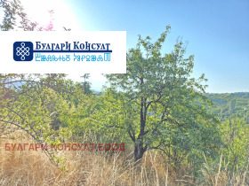 ������� ������ | Imot.bg � ����� ������ 5
