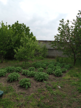 ������� ���� | Imot.bg � ����� ������ 8