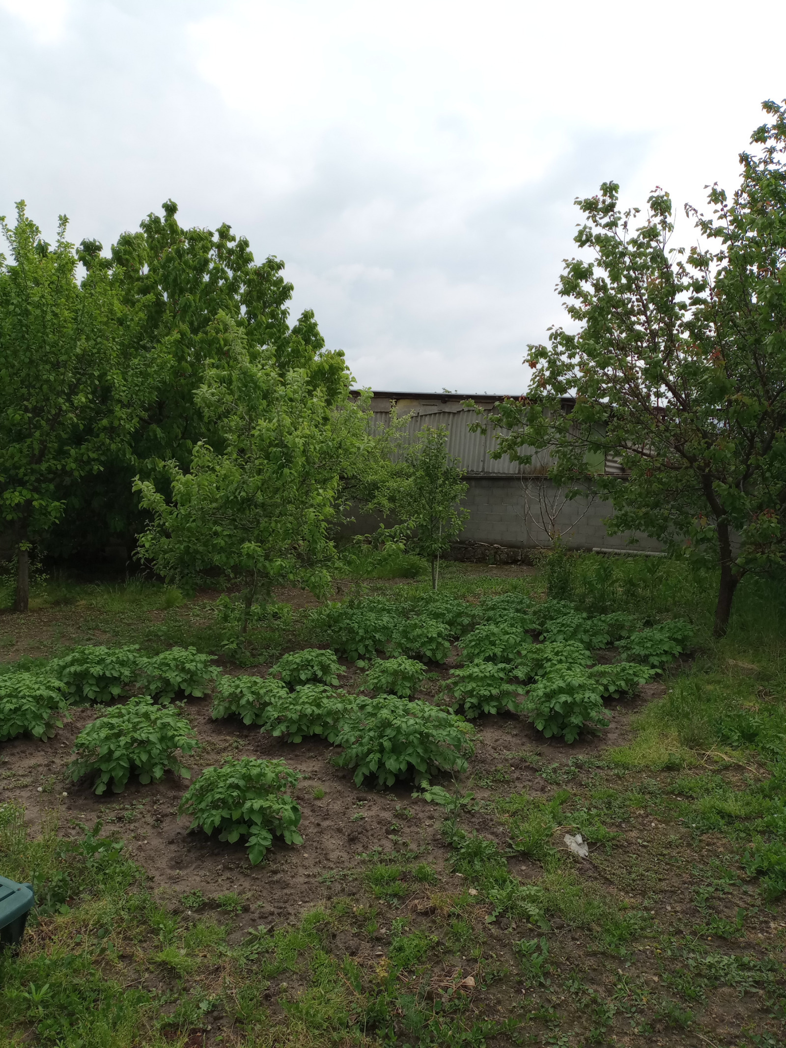 Продава КЪЩА, гр. Шумен, Дивдядово, снимка 8 - Къщи - 54689583