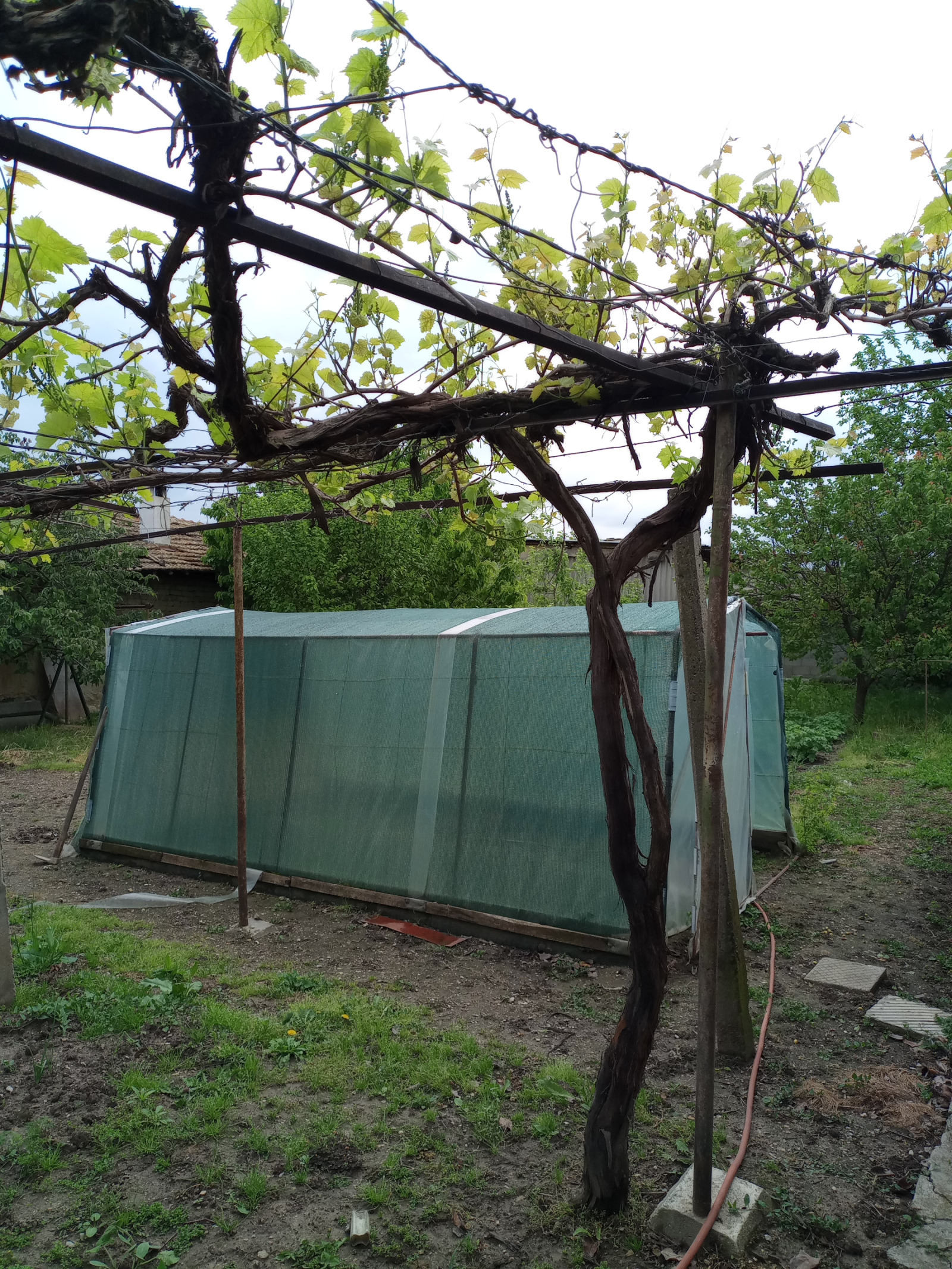 Продава КЪЩА, гр. Шумен, Дивдядово, снимка 10 - Къщи - 54689583