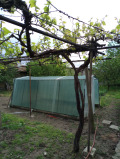 Продава КЪЩА, гр. Шумен, Дивдядово, снимка 10