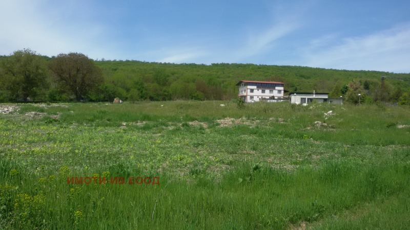 Продава ЗЕМЕДЕЛСКА ЗЕМЯ в област Добрич, с. Прилеп - 5 дка / 9 900 € » 19 362.72 лв., ИМОТИ-ИВ ЕООД