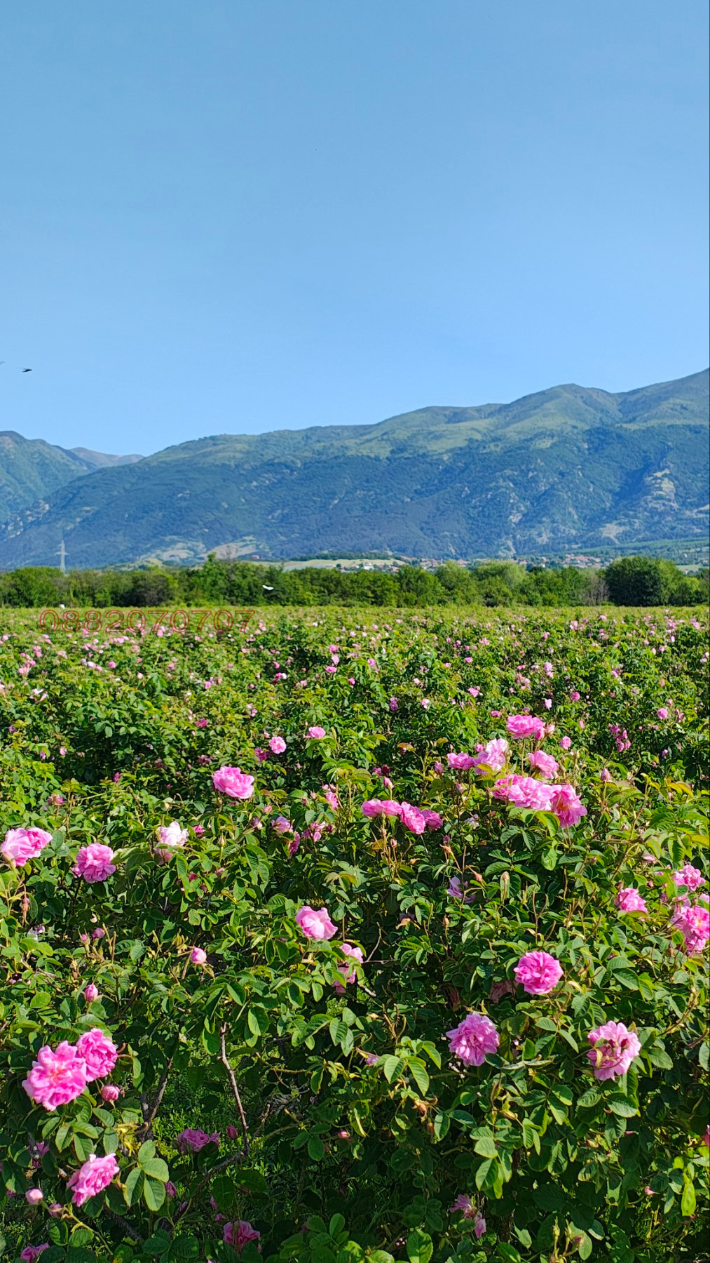 ������� ���������� ���� | Imot.bg � ����������� 1