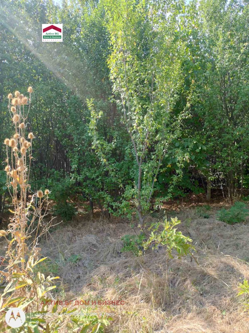 Till salu  Hus region Sofia , Herakovo , 60 kvm | 96053176 - bild [7]