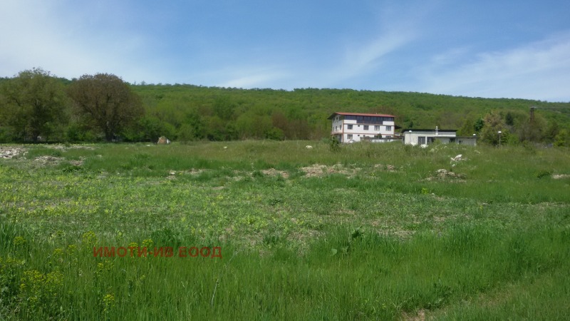 Продава ЗЕМЕДЕЛСКА ЗЕМЯ, с. Прилеп, област Добрич, снимка 1 - Земеделска земя - 46012749