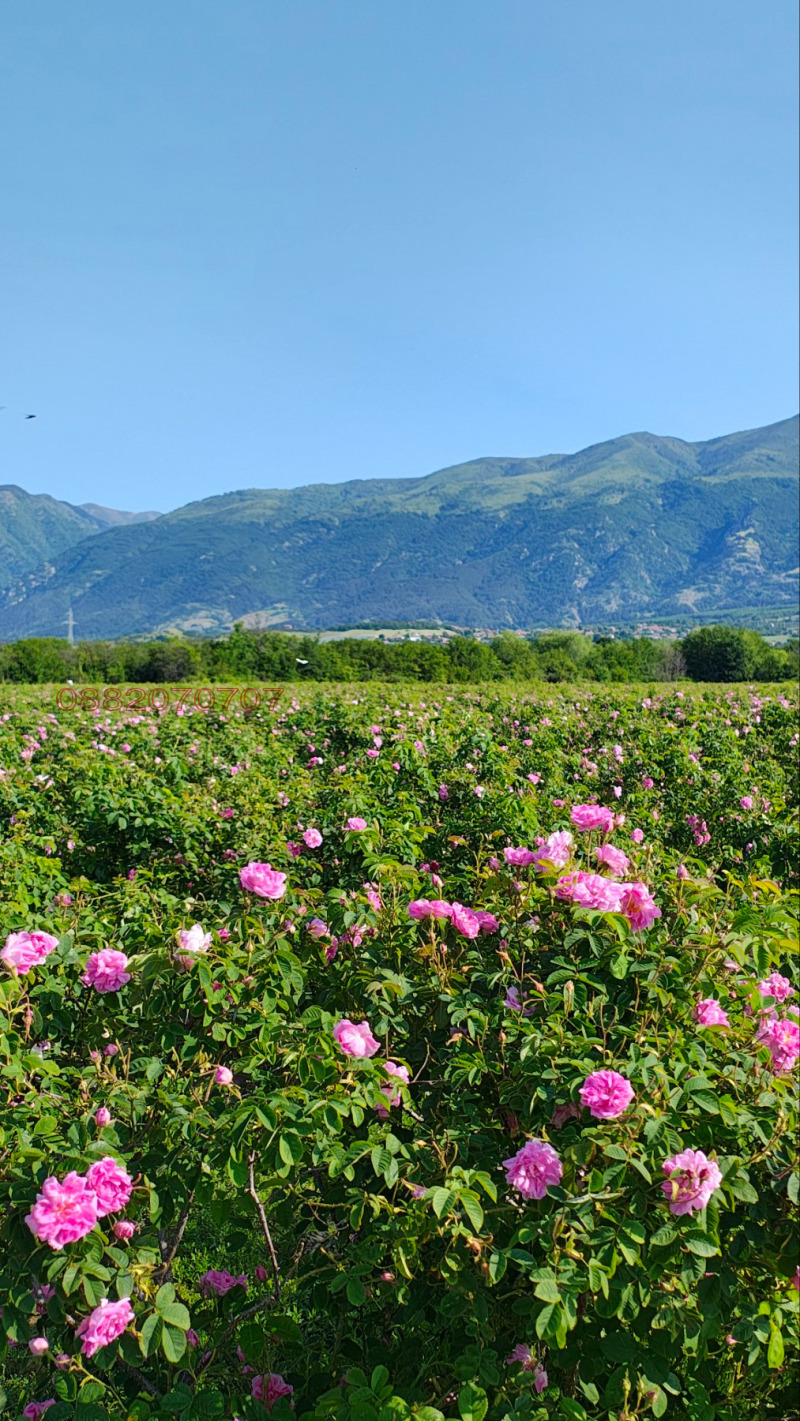 Продава ЗЕМЕДЕЛСКА ЗЕМЯ, гр. Карлово, област Пловдив