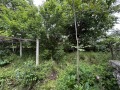 Продава КЪЩА, област Варна, с. Манастир • 48000 € • 76049736 — Holmes.bg