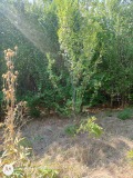 Продава КЪЩА, област София, с. Хераково • 129000 € • 75222871 — Holmes.bg