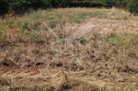 Plot Asenovgrad, region Plovdiv
