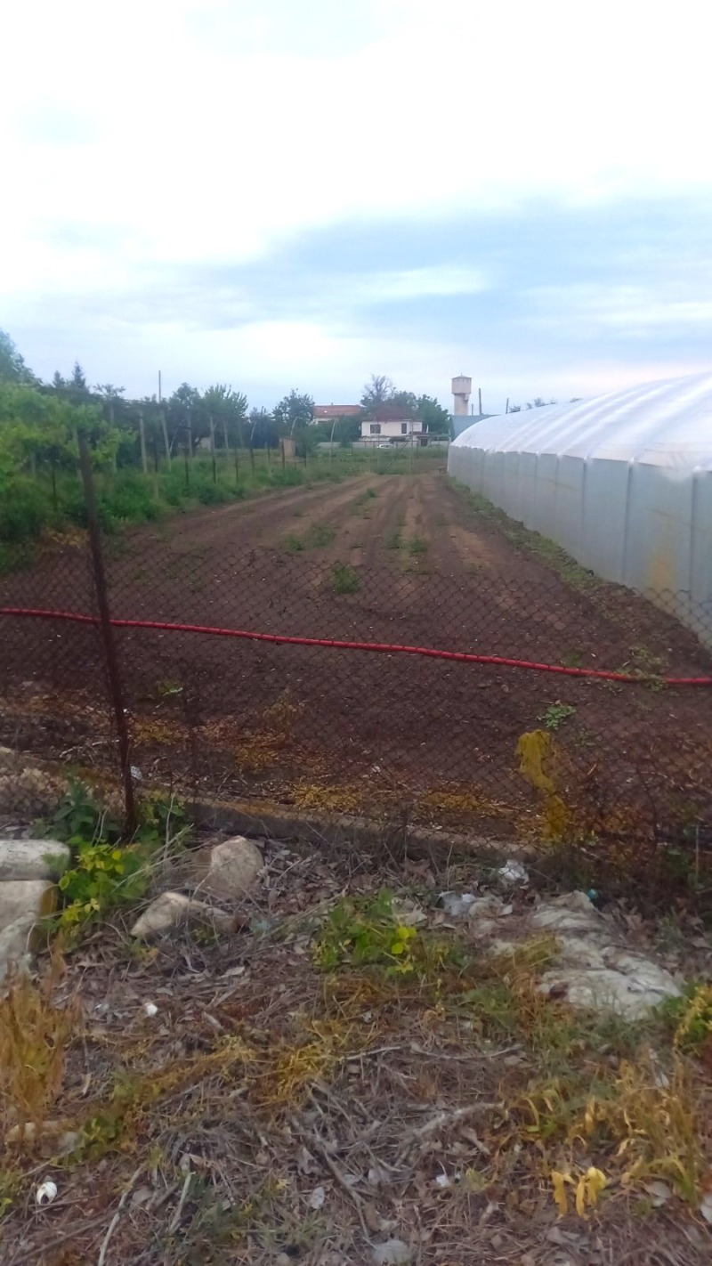 À venda  Trama região Plovdiv , Karadjalovo , 1200 m² | 87867845