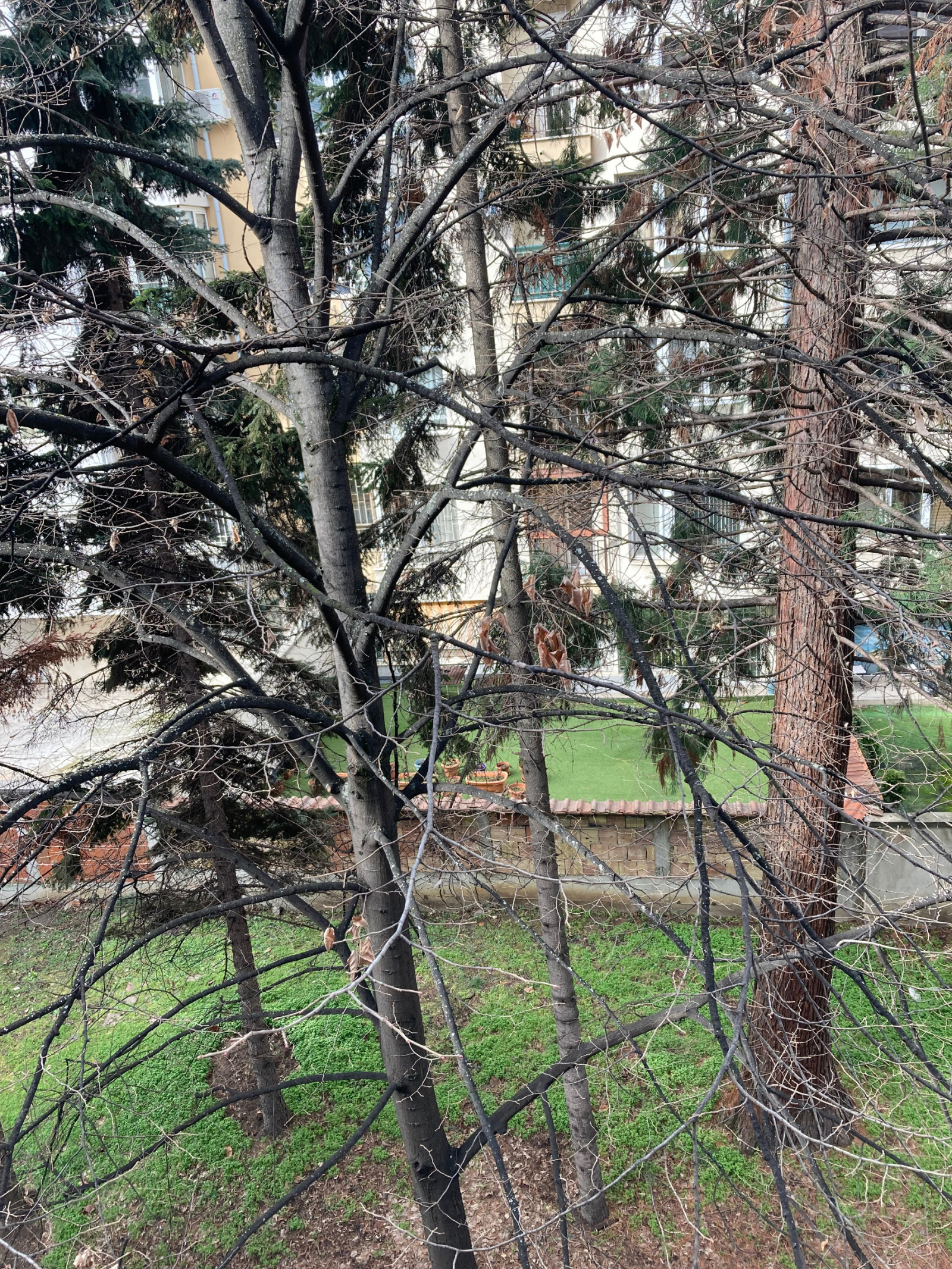 ������� 4-����� | Imot.bg � ����������� 8