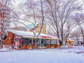 Bar; Kahve dükkanı Sveta Troica, Sofia 10