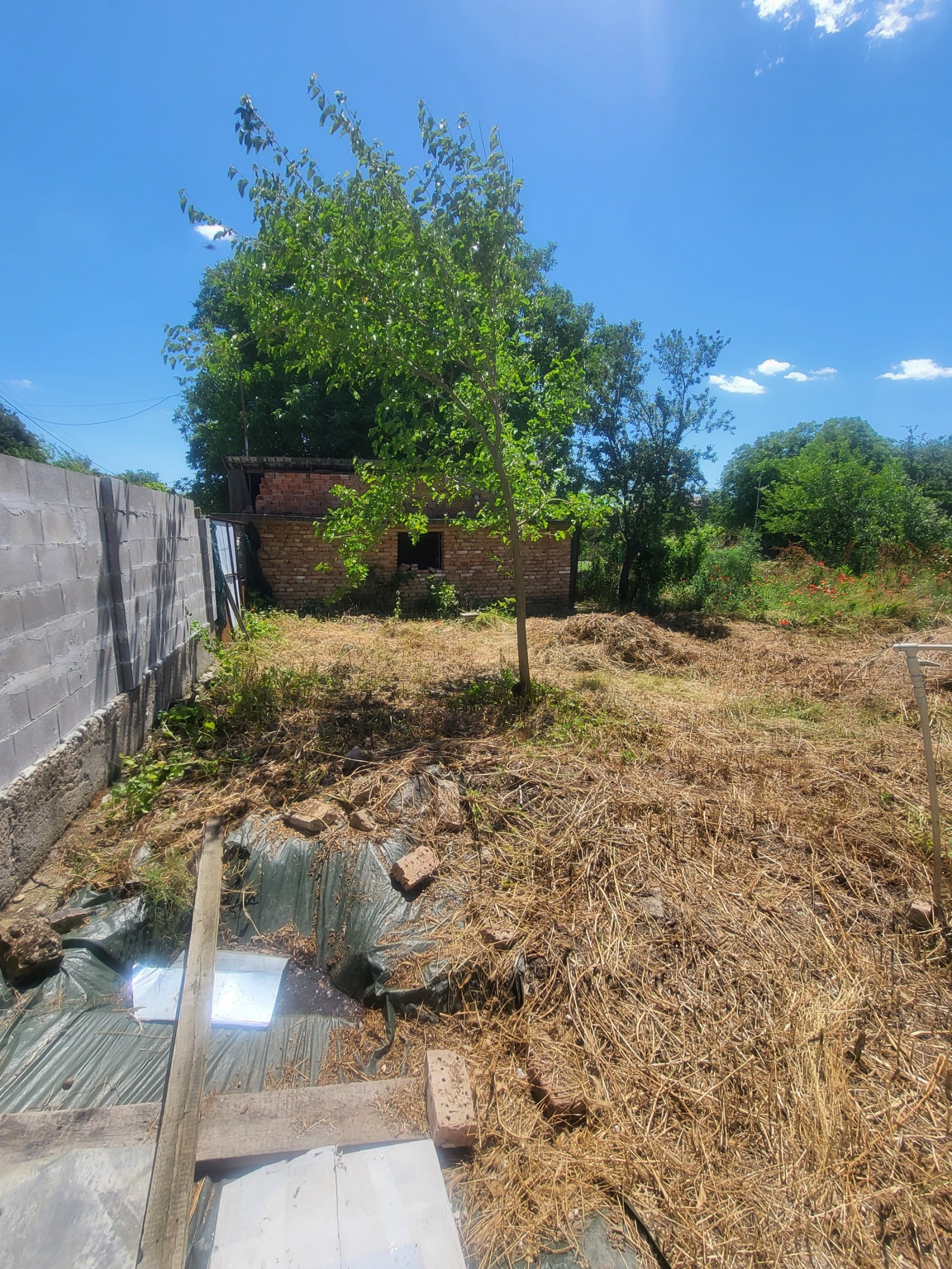 ������� ���� | Imot.bg � ����������� 16