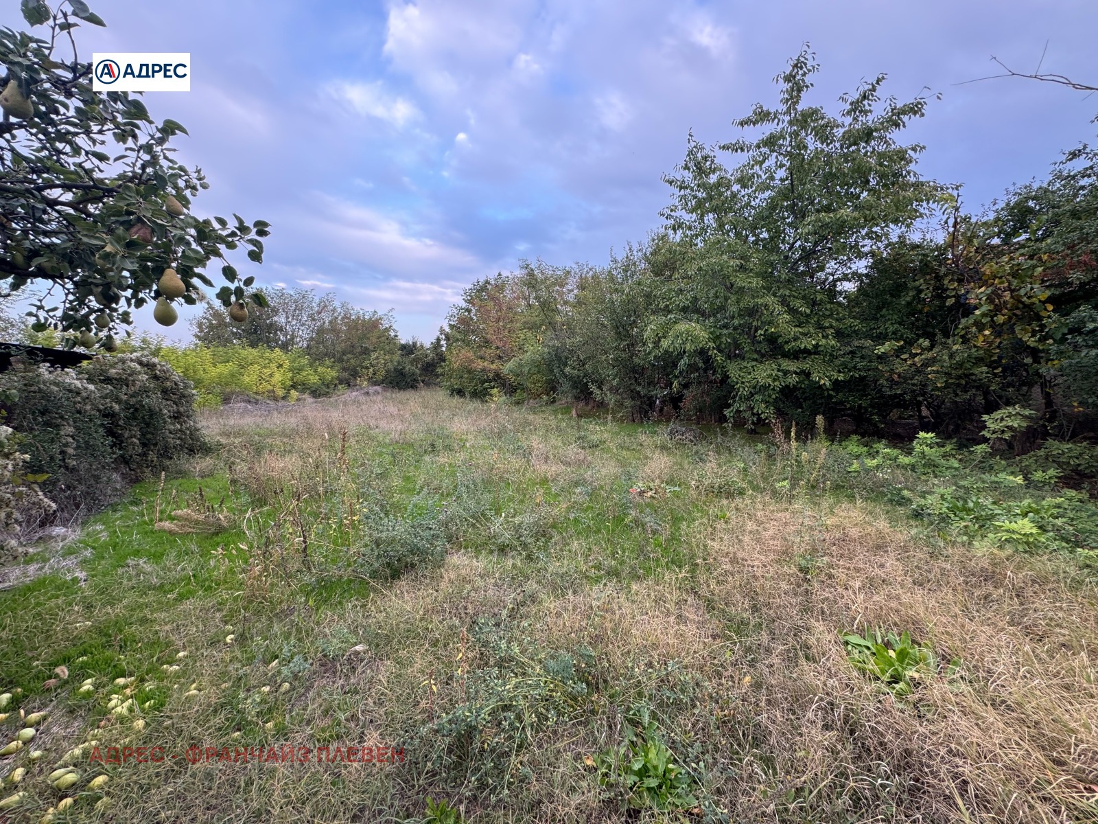 ������� ���� | Imot.bg � ����������� 12
