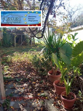 ������� ���� | Imot.bg � ����� ������ 8