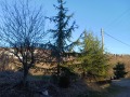 Продава КЪЩА, област Стара Загора, с. Змейово • 140000 € • 37038410 — Holmes.bg