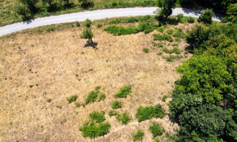 For Sale  Plot region Lovech , Apriltsi , 2792 sq.m | 14621954 - image [11]